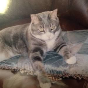 Meet your Posher, Az